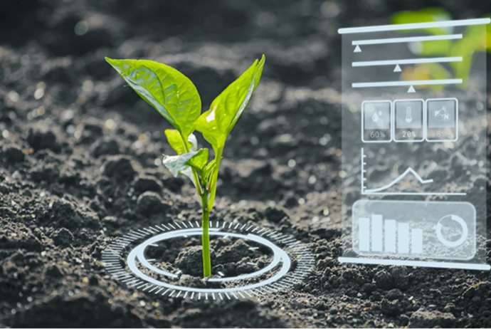 Azərbaycan aqrar sektorda 33 yeni modul istifadəyə verəcək | FED.az