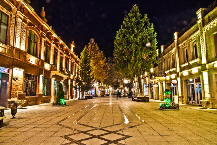 Gəncədə işıqlandırma işləri ilə bağlı 2,2 milyon manatlıq tender | FED.az