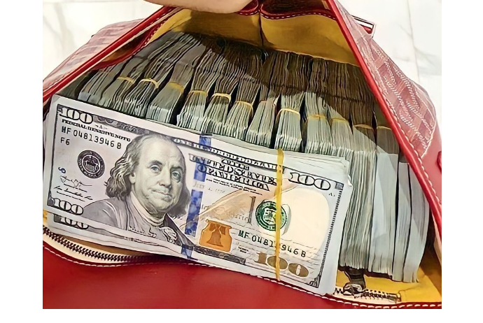 «Dolları Azərbaycana qaytarmalısan» - ŞİRKƏTLƏRƏ YENİ ŞƏRT QOYULACAQ | FED.az