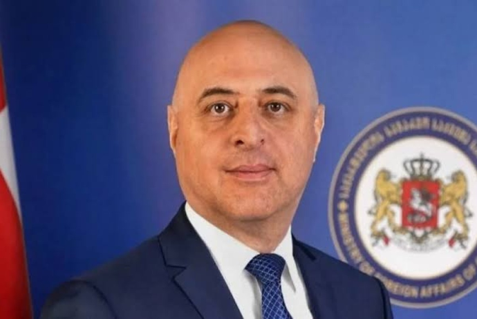 Gürcüstan Azərbaycana yeni səfir təyin edib | FED.az