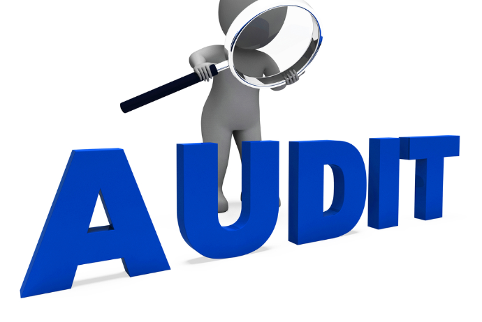 Sosial Xidmətlər Agentliyi auditor seçir | FED.az
