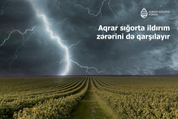 Aqrar sığorta ildırım zərərini də qarşılayır | FED.az
