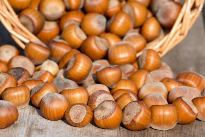 Fındıq ixracından gəlirlər 170 milyon dollara yaxınlaşıb | FED.az