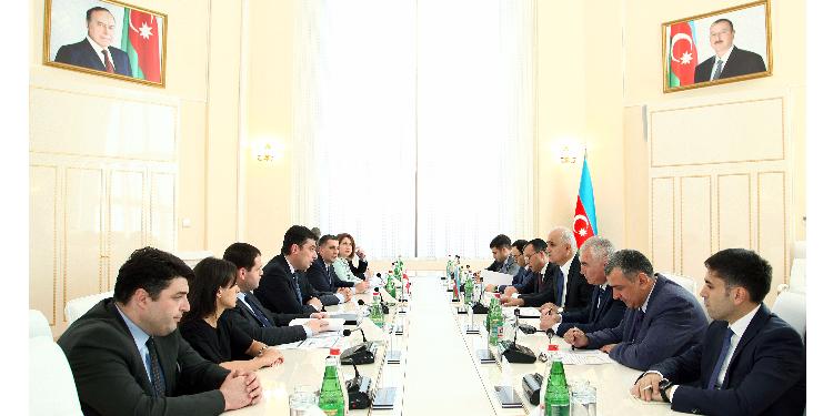 Nazir: Azərbaycan Gürcüstan iqtisadiyyatına 3,4 mlrd. dollar investisiya yatırıb | FED.az