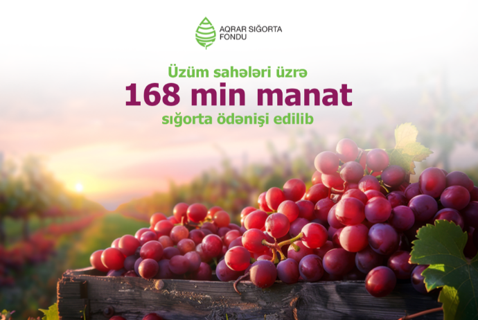 Aqrar Sığorta Fondu üzüm sahələri üzrə 168 min manat sığorta ödənişi edib | FED.az