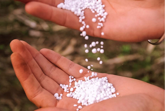 Azot gübrəsi ixracından gəlirlər 50% artıb - QİYMƏT KƏSKİN BAHALAŞIB | FED.az