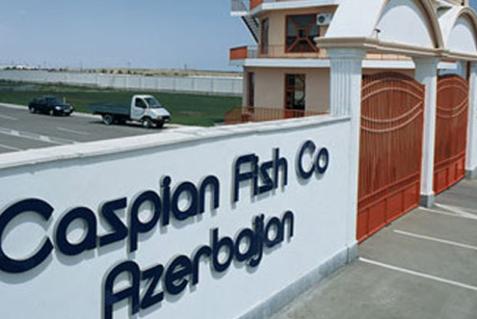 "Caspian fish co Azerbaijan" MMC - CƏRİMƏ OLUNA BİLƏR | FED.az