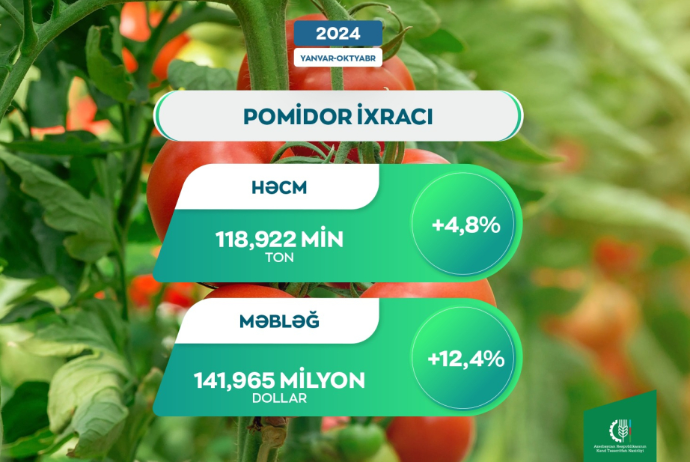 Bu il xarici bazarlara 142 milyon dollar dəyərində pomidor ixrac olunub | FED.az