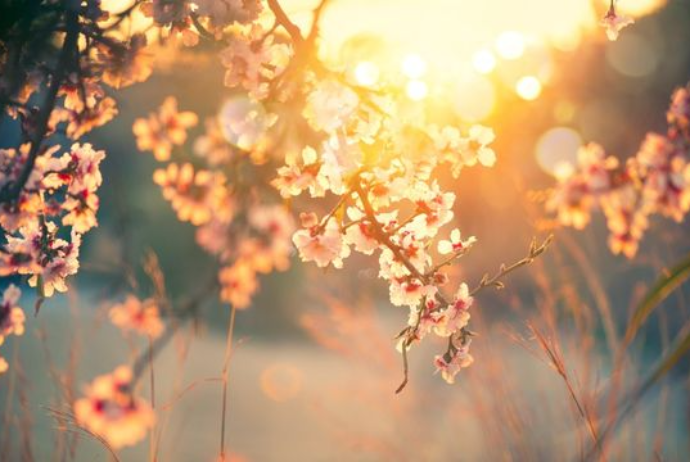 25 dərəcə isti - SABAHIN HAVA PROQNOZU | FED.az