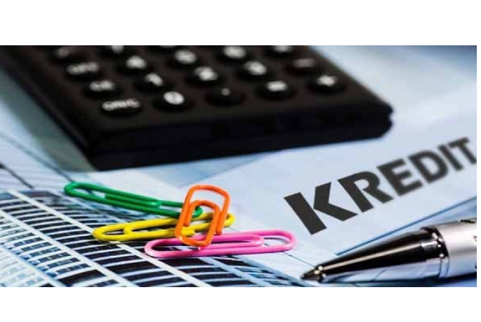 Azərbaycanda kredit risklərini qiymətləndirən yeni model hazırlanıb | FED.az