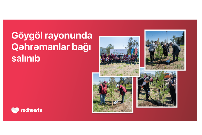 В Гёйгёле реализована акция «Qəhrəmanlar bağı» | FED.az
