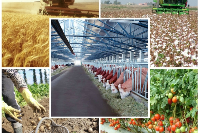 BƏƏ Azərbaycanla kənd təsərrüfatı üzrə yol xəritəsi hazırlayacaq | FED.az