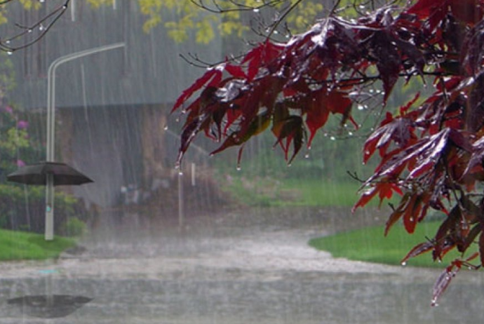 Yağıntılı və küləkli hava nə vaxta kimi davam edəcək? - FAKTİKİ HAVA | FED.az