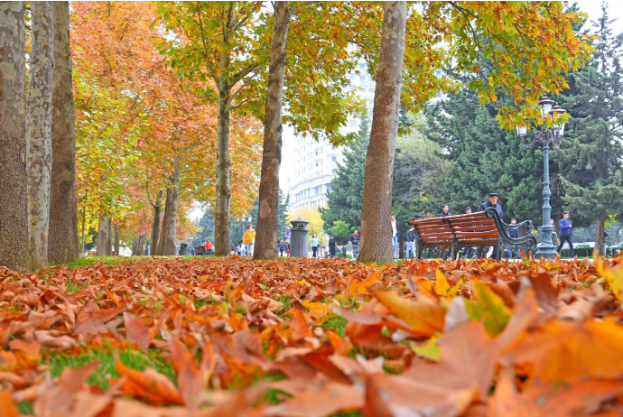 Sabahın hava proqnozu - AÇIQLANDI | FED.az