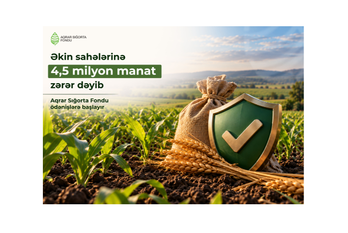 Əkin sahələrinə 4,5 milyon manat zərər dəyib – Aqrar Sığorta Fondu ödənişlərə başlayır | FED.az