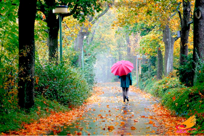 Bəzi yerlərdə yağış yağacaq - BAZAR GÜNÜNÜN HAVA PROQNOZU | FED.az