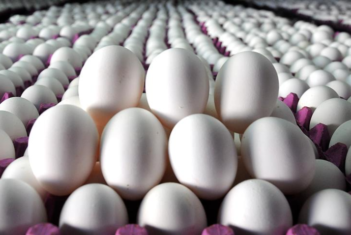 2024-cü ildə yumurta ixracının 100 milyon ədədə çatacağı gözlənilir | FED.az