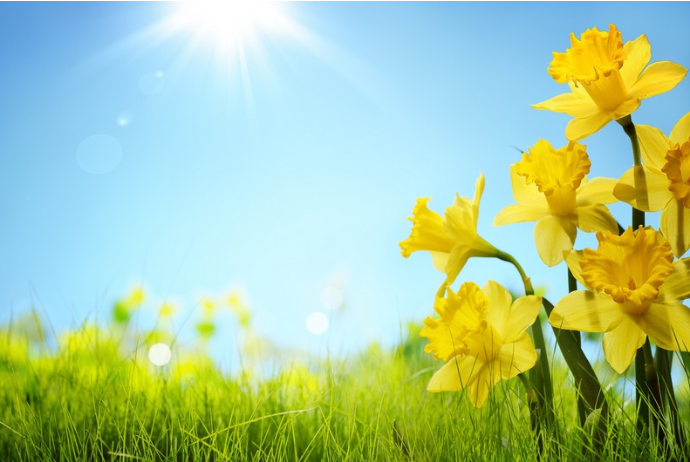 25 dərəcə isti - APRELİN İLK GÜNÜNÜN HAVA PROQNOZU | FED.az