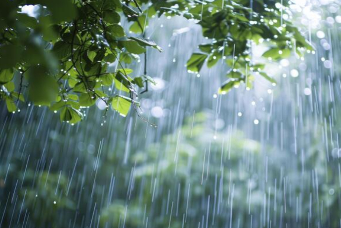 Bakıya bir gün ərzində - 2 AYLIQ YAĞIŞ YAĞIB  | FED.az