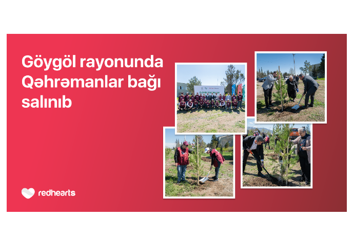 Göygöldə “Qəhrəmanlar bağı” aksiyası - HƏYATA KEÇİRİLİB | FED.az