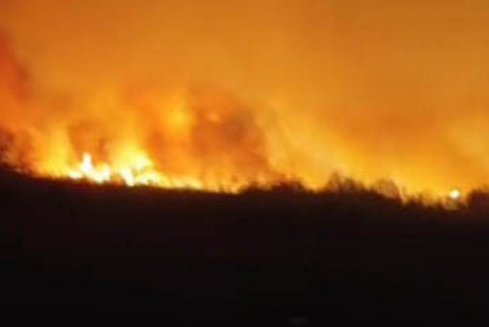 Füzuli və Cəbrayılda güclü yanğın başlayıb | FED.az