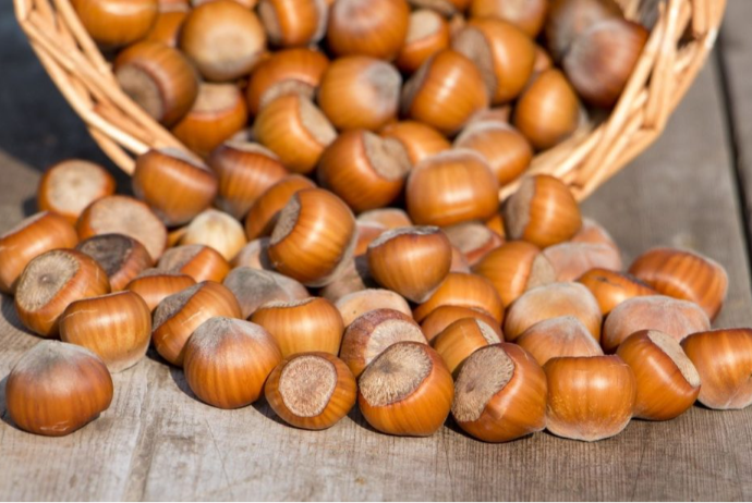 Azərbaycanın xaricə satdığı fındığın kiloqramı 4 manatdan çox - BAHALAŞIB - YENİ QİYMƏT | FED.az