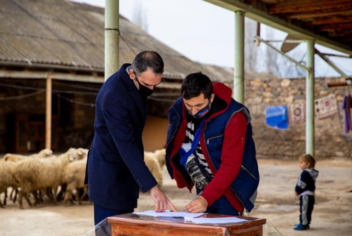 Bir qrup şəhid ailəsi və müharibə iştirakçısı üçün - Kiçik Təsərrüfatlar Yaradıldı - FOTO | FED.az