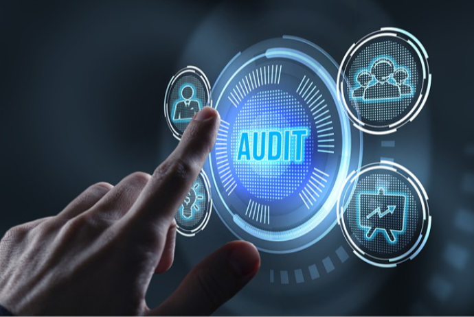 İnvestisiya şirkətlərinin illik auditini kim aparır? – ŞİRKƏTLƏR, SİYAHI (2023-2024) | FED.az