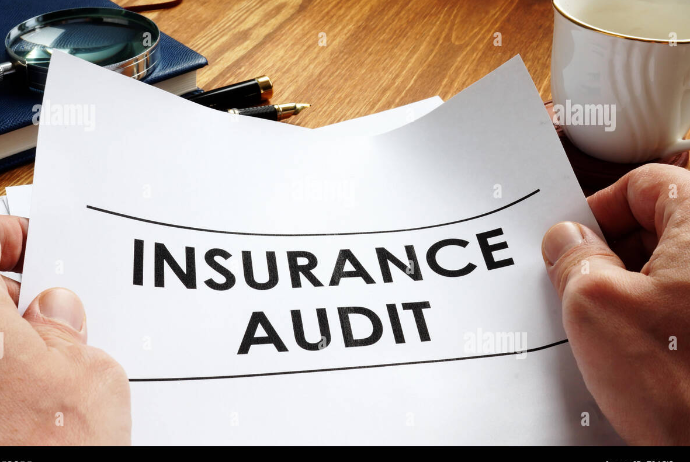 Son 5 ildə sığorta şirkətlərini hansı audit təşkilatları yoxlayıb? -  ŞİRKƏTLƏR, SİYAHI | FED.az