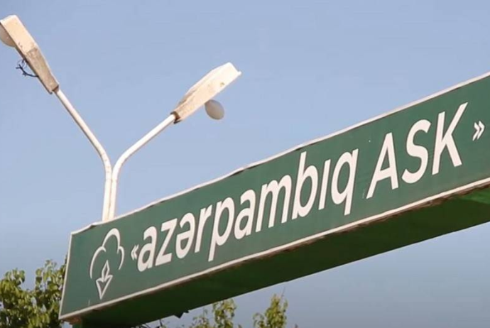 "Azərpambıq Aqrar Sənaye Kompleksi" son bir ildə ixracdan 13,4 milyon dollar itirib | FED.az