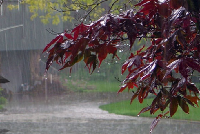 Leysan yağır - FAKTİKİ HAVA | FED.az