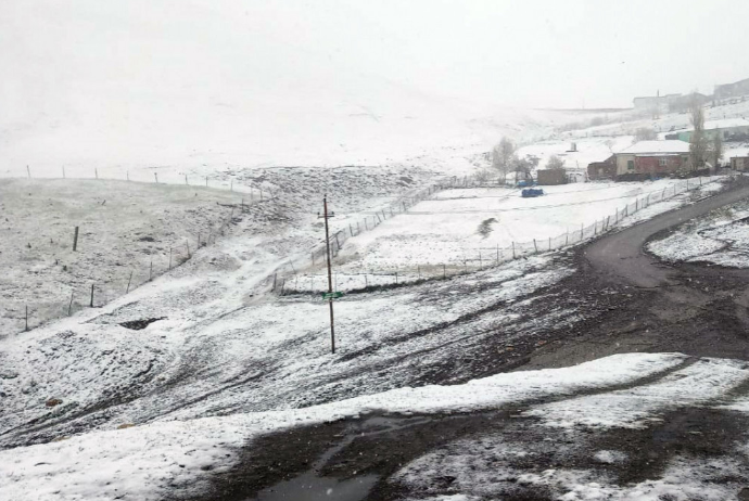 Şahdağa 5, Qrız və Xınalığa 4 sm qar yağıb - FAKTİKİ HAVA | FED.az