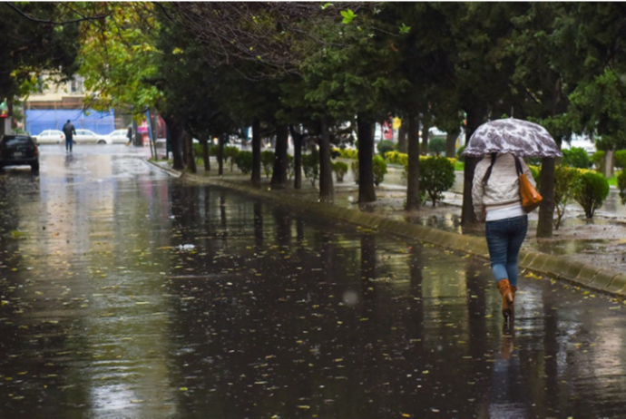 Yağış, külək, dolu... - SABAHIN HAVASI | FED.az