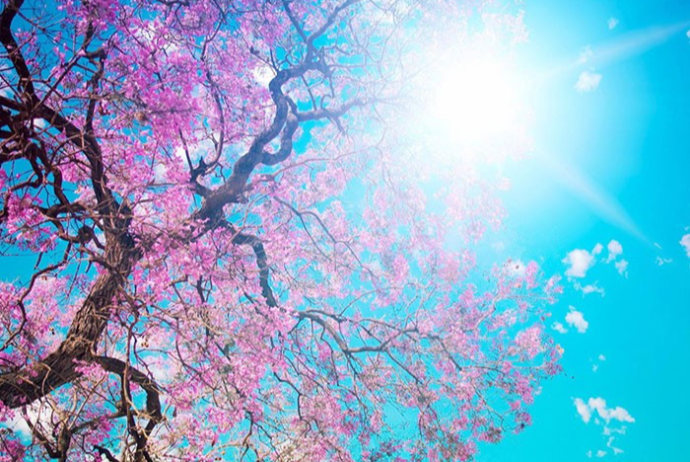 26 dərəcə isti - SABAHIN HAVA PROQNOZU | FED.az