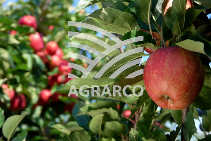 "Agrarco" işçi axtarır - VAKANSİYA | FED.az