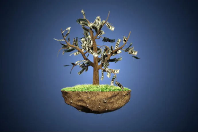 Adambaşına investisiyanın ən çox və ən az olduğu -  RAYONLAR VƏ ŞƏHƏRLƏR (2025) | FED.az