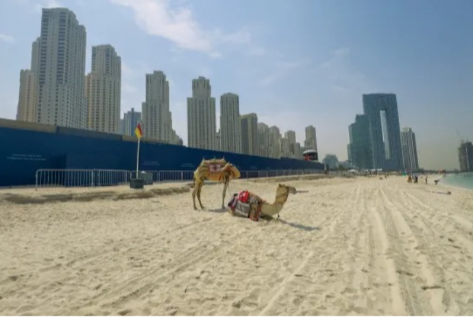 SEPAH-dan Dubay sakinlərinə xəbərdarlıq -  "DƏRHAL TƏRK EDİN" | FED.az