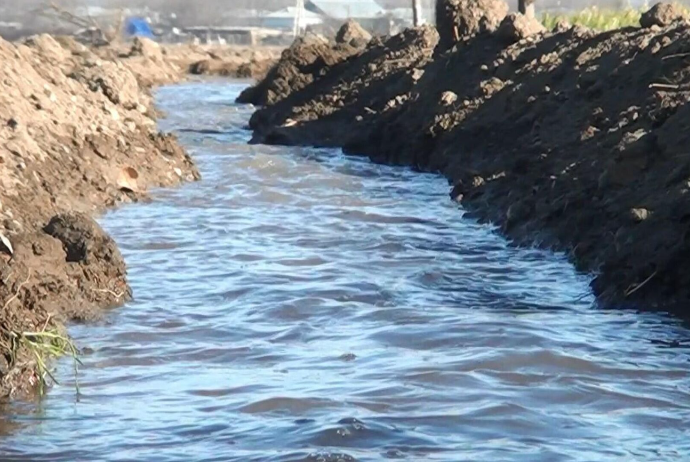 Zərdabda əkin sahələrinin su təminatının yaxşılaşdırılması üçün – 3,3 MİLYON MANAT AYRILDI | FED.az