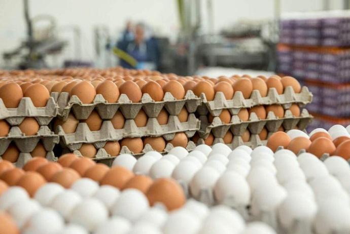 Азербайджан поставил в РФ 1,8 млн яиц