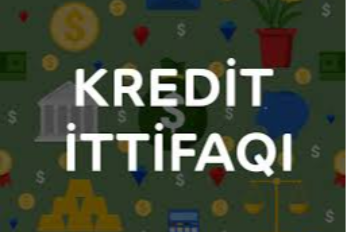 Kredit təşkilatı mənfəətdən - ZƏRƏRƏ KEÇİB - HESABAT | FED.az