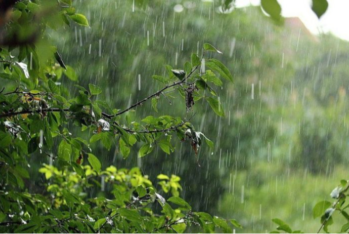 Ölkə ərazisində yağıntılı hava şəraiti davam edir, külək güclənib - FAKTİKİ HAVA | FED.az