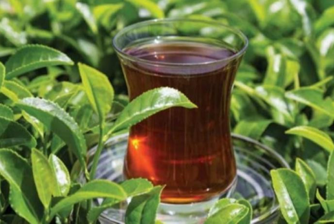Çayın orta ixrac qiyməti 4% artıb - GƏLİRLƏR 5% AZALIB | FED.az
