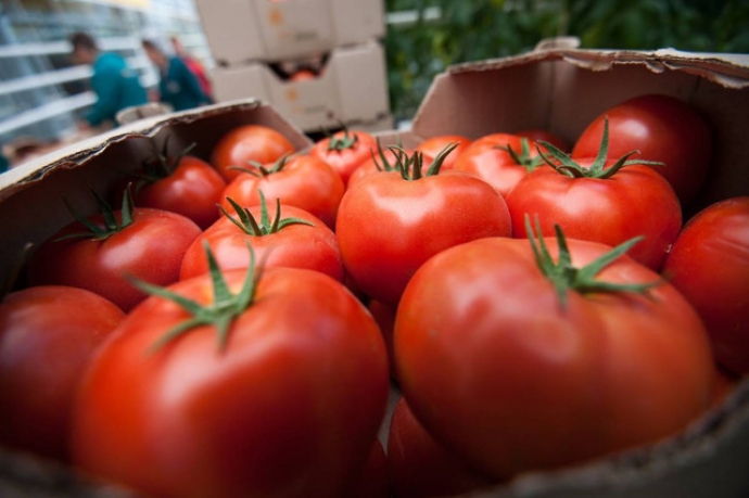 Rusiya Türkiyədən pomidor almağı dayandırdı – 1 KİLOMETRLİK TIXAC | FED.az