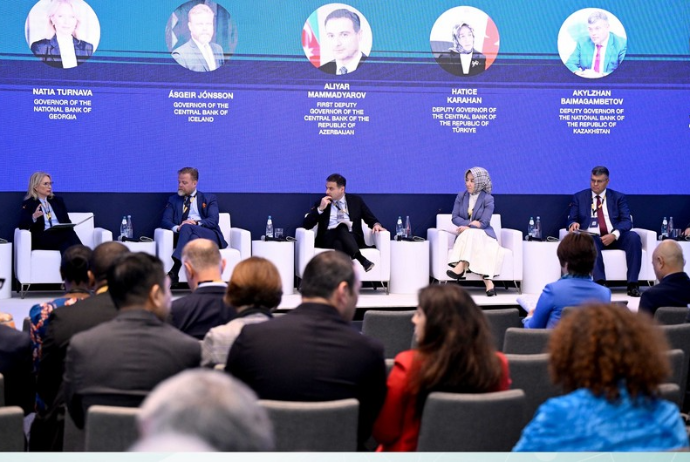 AMB sədrinin I müavini: "Maliyyə sektorunda regional koordinasiya dayanıqlı inkişafa təkan verir" | FED.az