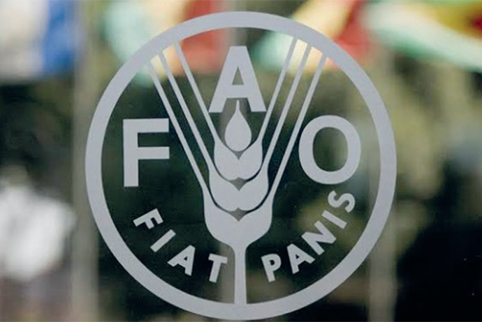FAO-dan taxılla bağlı- PROQNOZ | FED.az