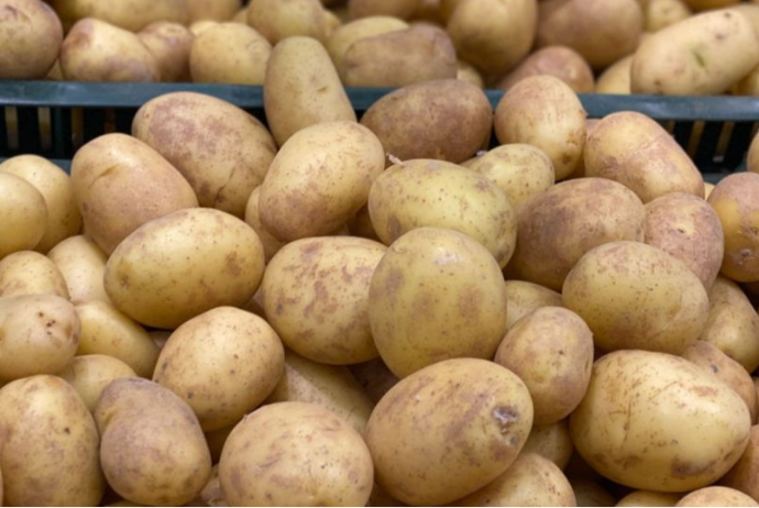 Azərbaycanı kartofla ən çox - TƏMİN EDƏN 10 RAYON - SİYAHI | FED.az