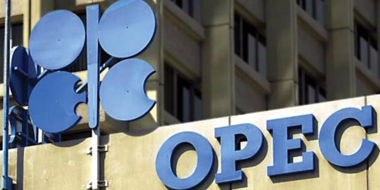OPEC-in hər bir üzvünə fərdi qaydada kvota tətbiq ediləcək | FED.az
