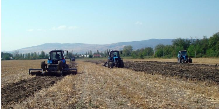 Bu il torpaqlardan əsassız istifadə edənlər 655 min manat cərimələnib | FED.az