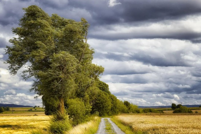 Bəzi yerlərdə külək güclənəcək - XƏBƏRDARLIQ | FED.az
