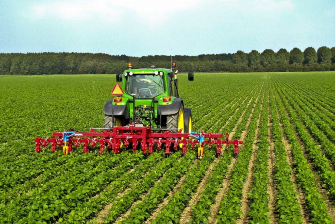 Kənd təsərrüfatında problemləri aradan qaldıracaq 16-dan artıq modul hazırlanacaq | FED.az